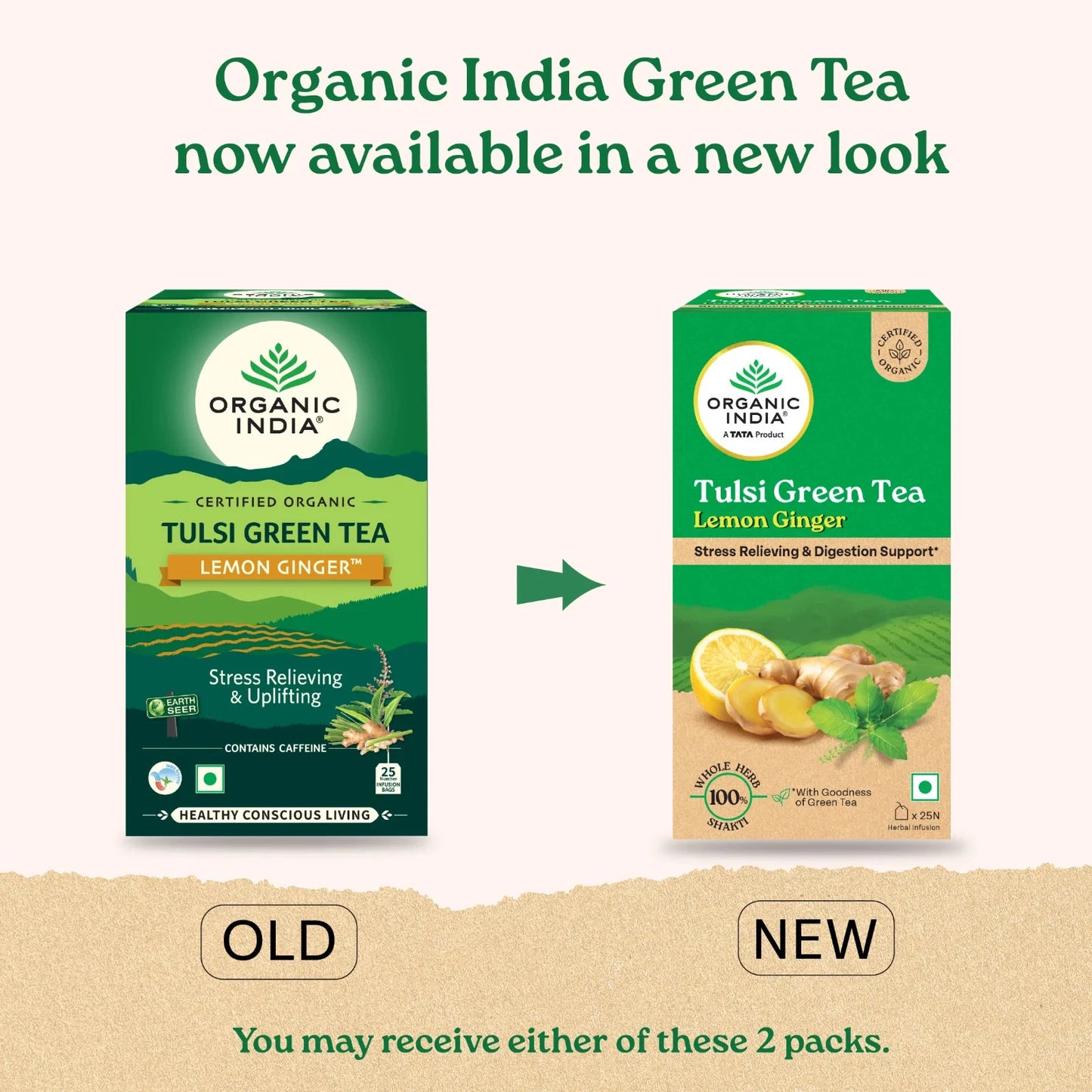 Organic India Tulsi Lemon Ginger Green Tea 4 Pack (100 Bags) – Herbal Wellness