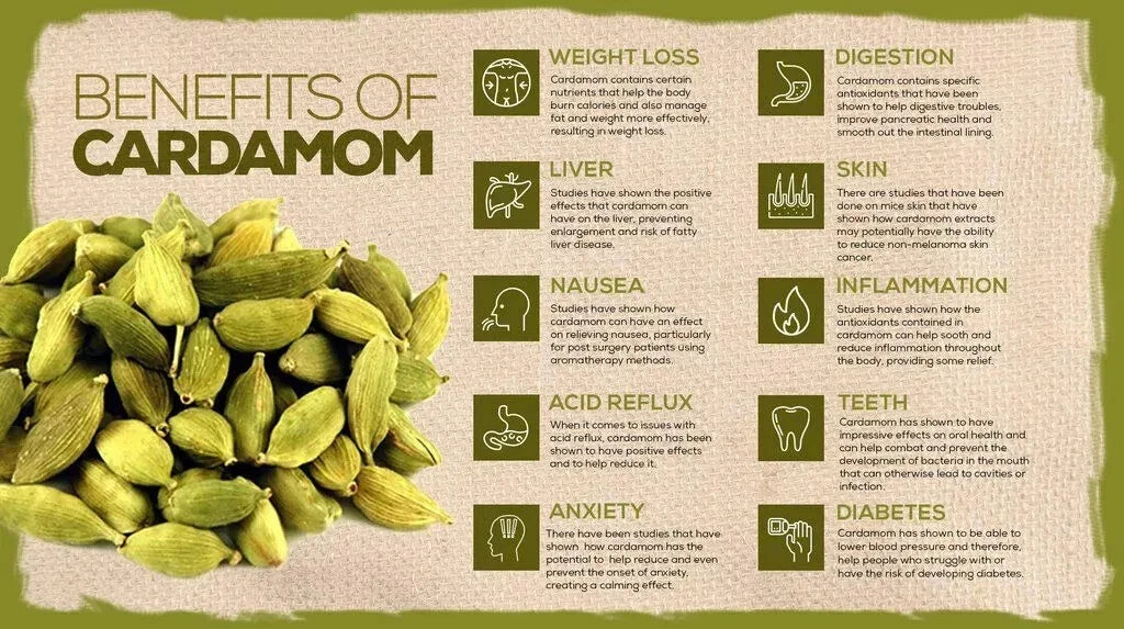 Gousses de cardamome verte entières de qualité supérieure (57 g, 140 g, 280 g, 450 g) - Fraîches et aromatiques