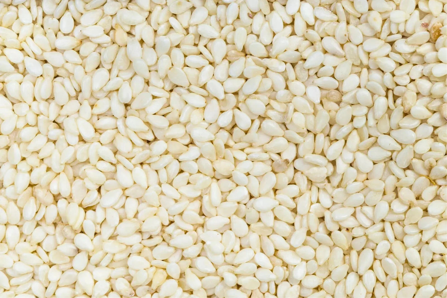 Graines de sésame blanc 100 % pures – Huile naturelle pour la cuisine, la pâtisserie et le tahini