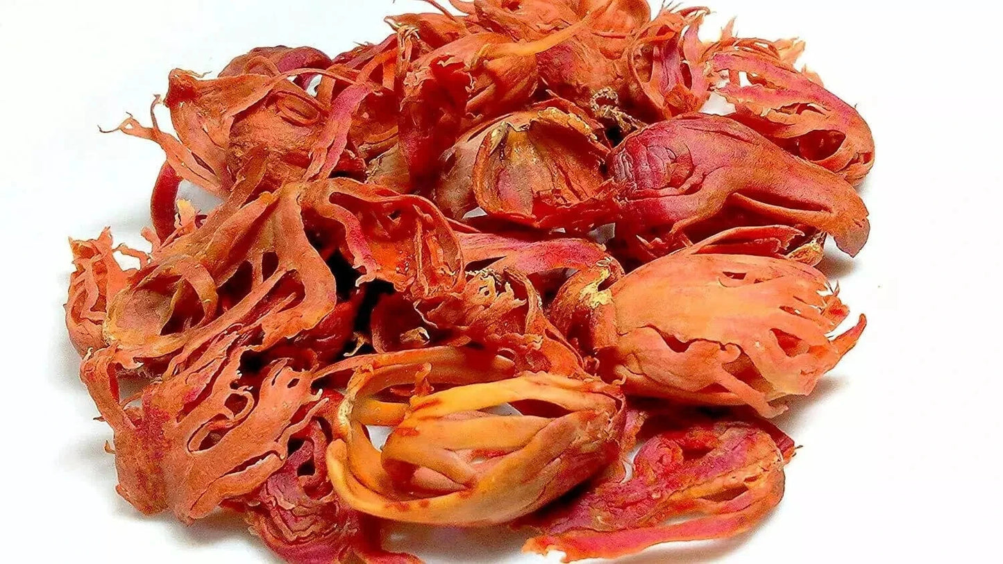 Macis indien Javitri entier – Fleur d'épice pure | Japatri naturel non traité